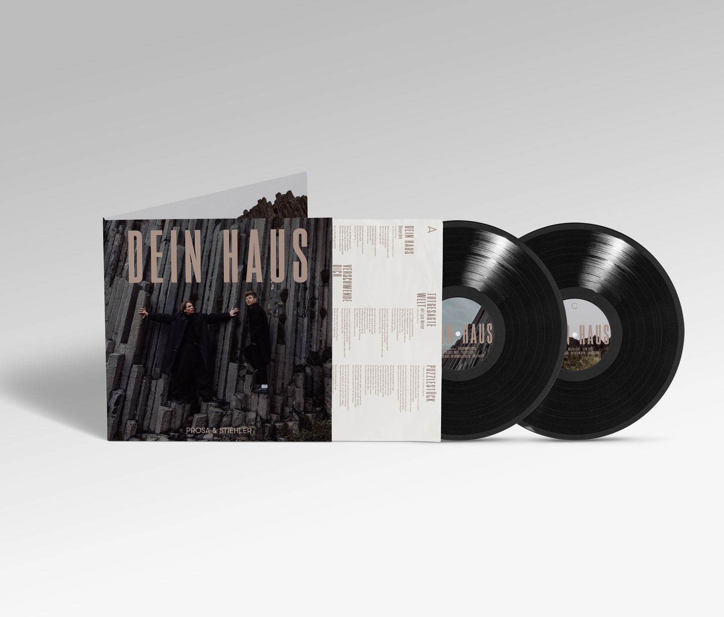 Dein Haus (2LP)