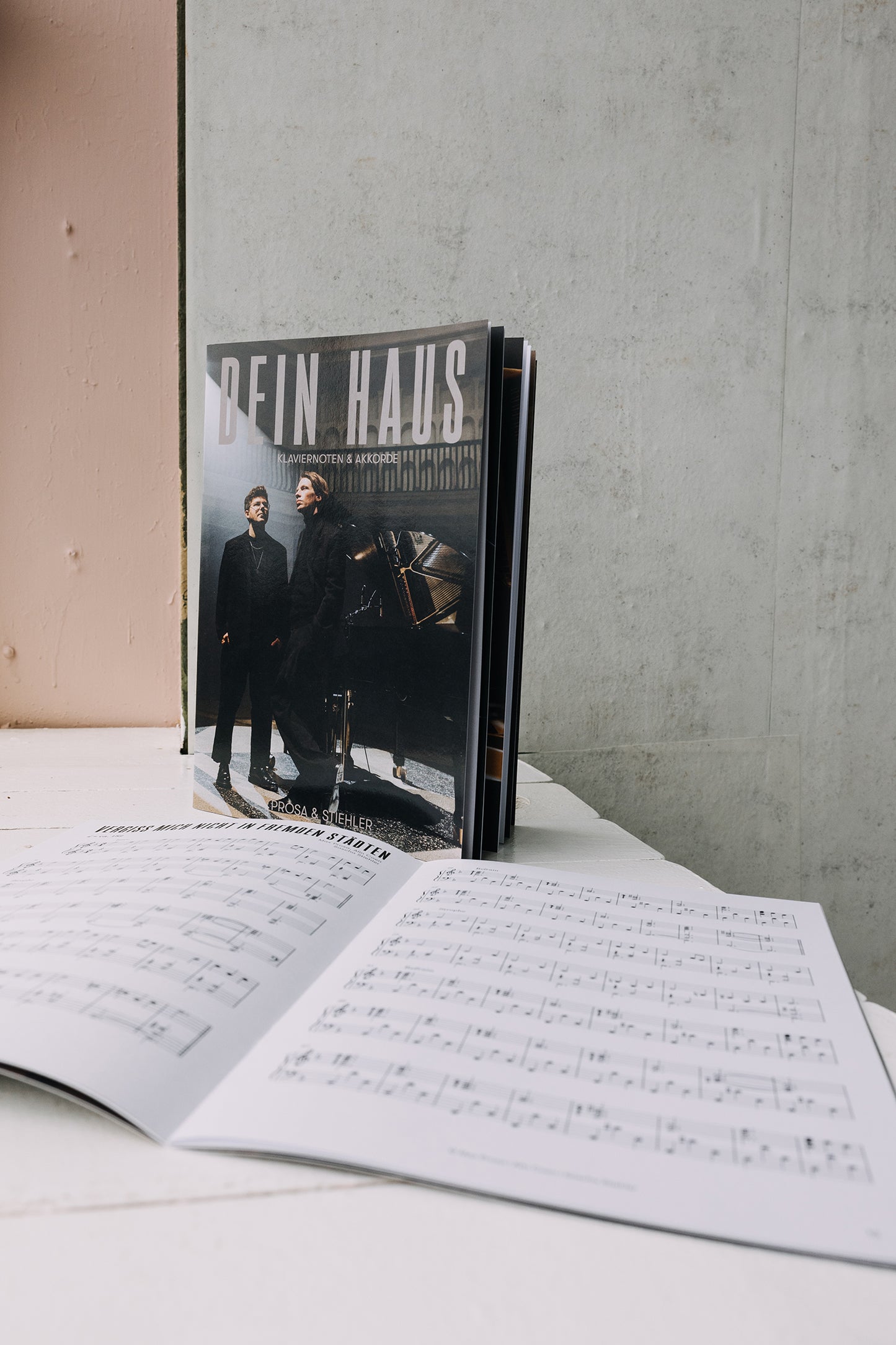 Dein Haus (Deluxe Beutel mit 2LP)