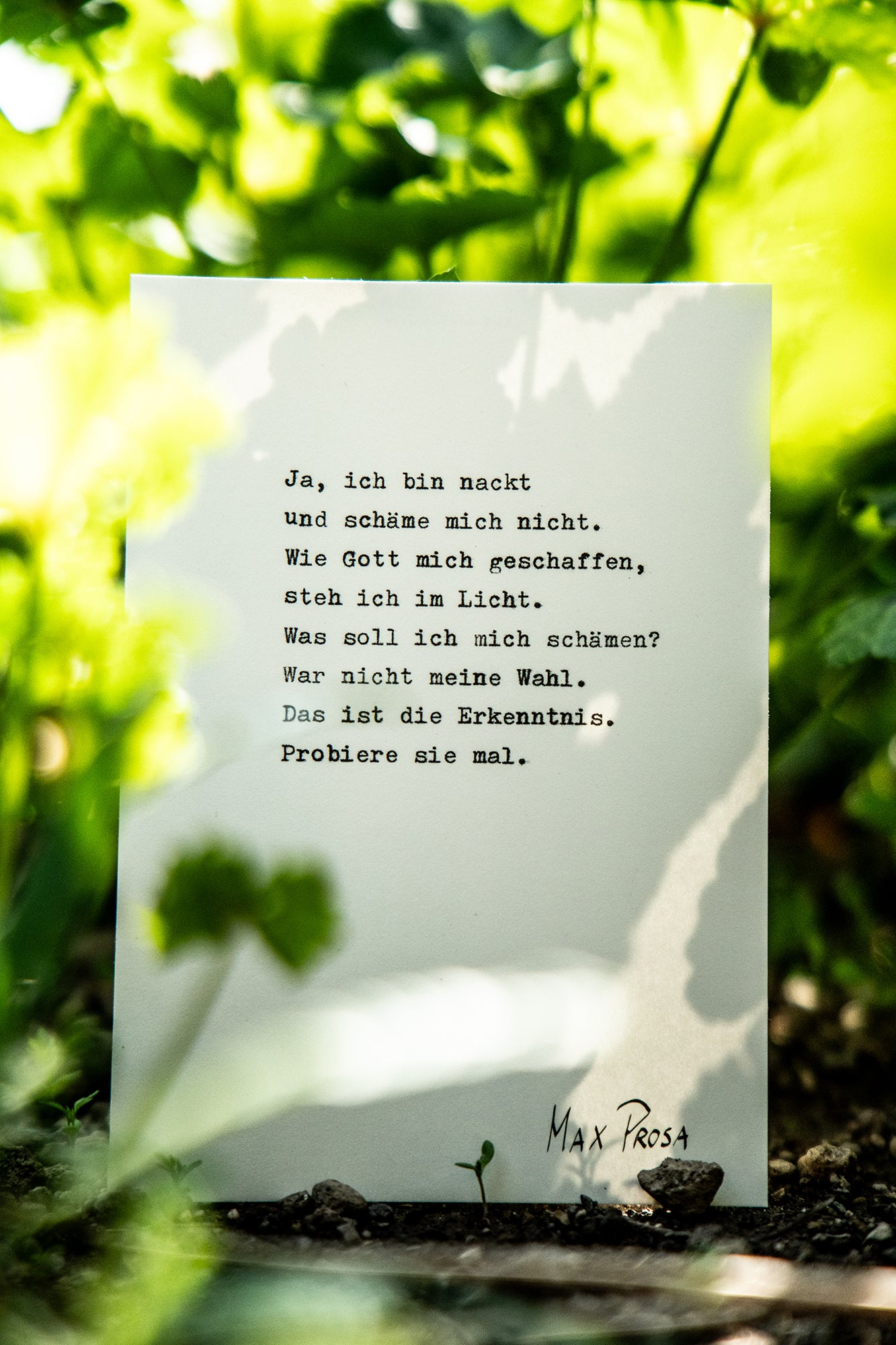 Postkarten Set - Gedichtzeilen Edition No.4