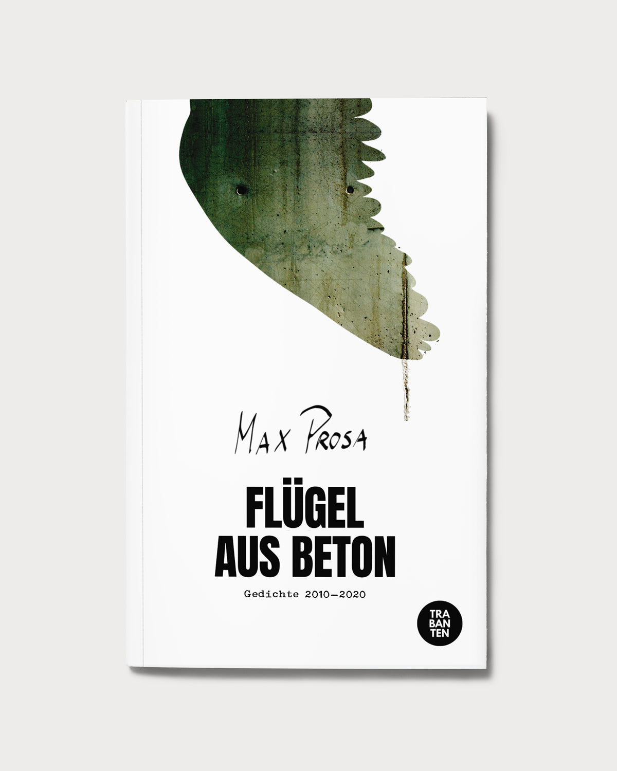 Flügel aus Beton (Buch)