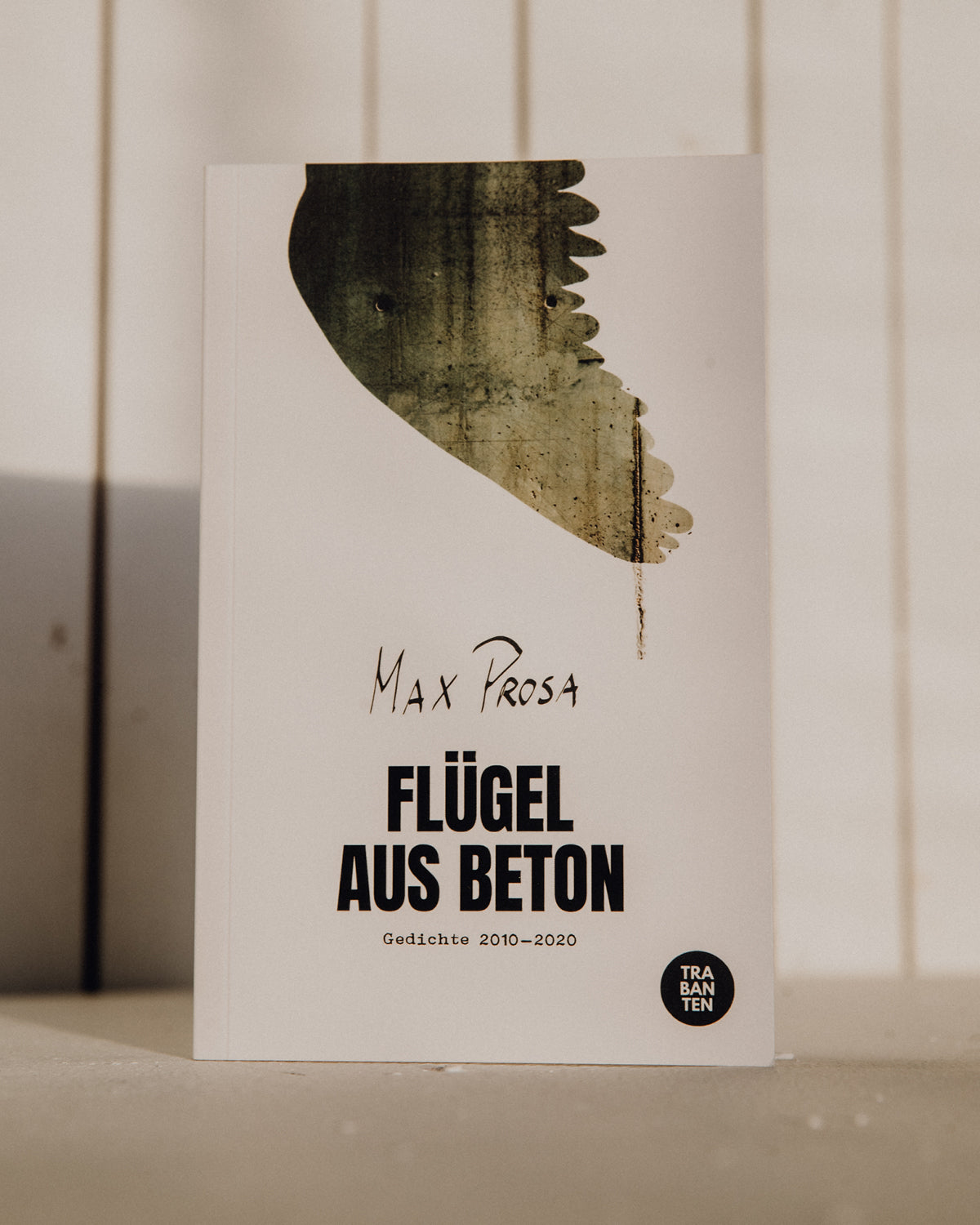 Flügel aus Beton (Buch)