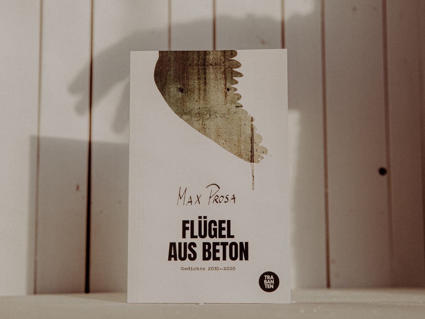 Flügel aus Beton (Buch)