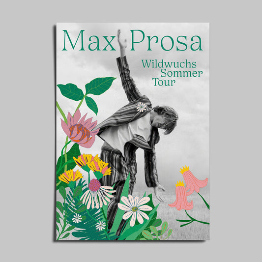 Wildwuchs Sommerkonzert mit Streichern - Gundelfingen (bei Freiburg) 02.07.2026